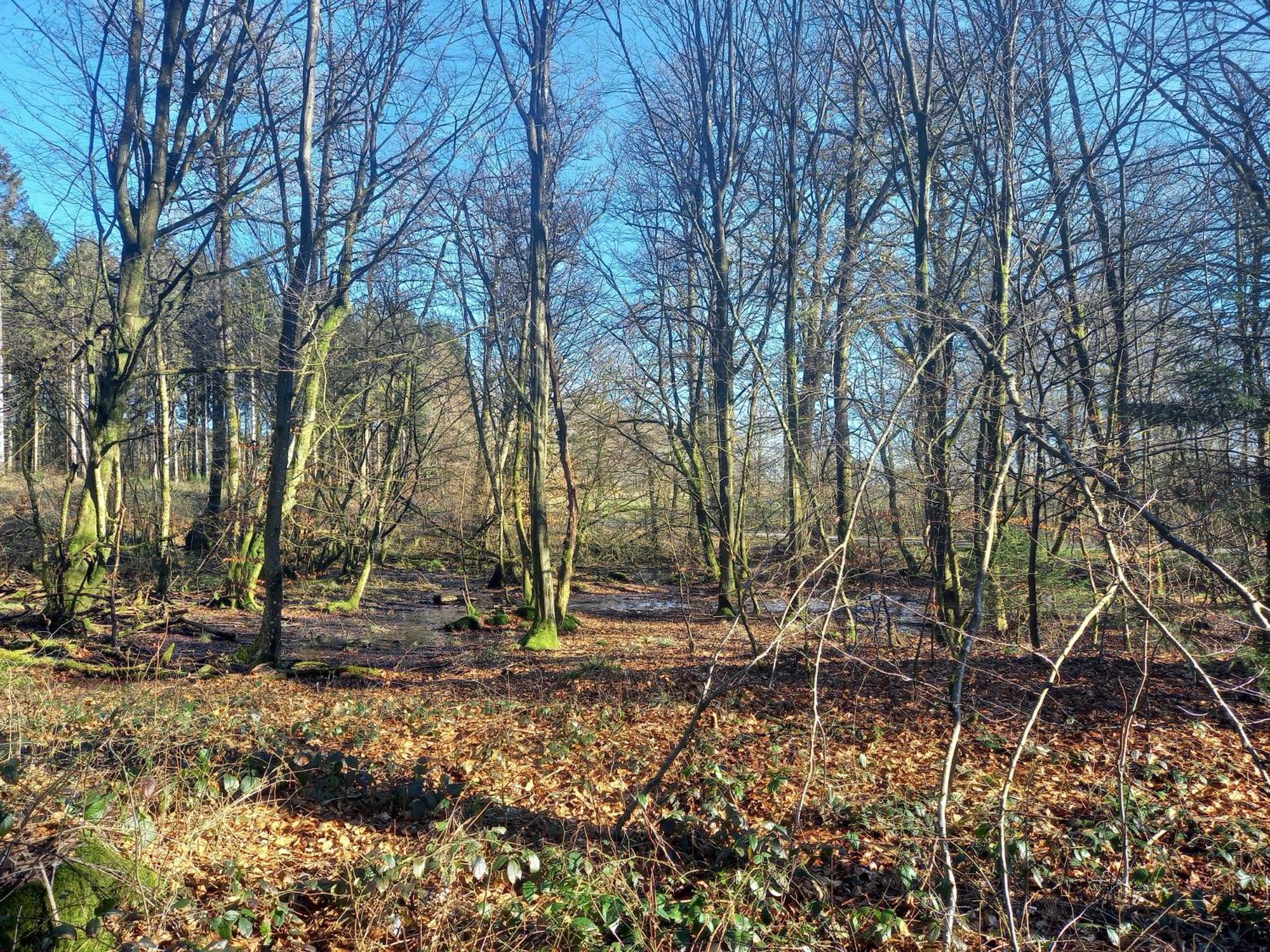 Maison D Hotes "Aux Legendes D Ardenne" Carlsbourg Buitenkant foto