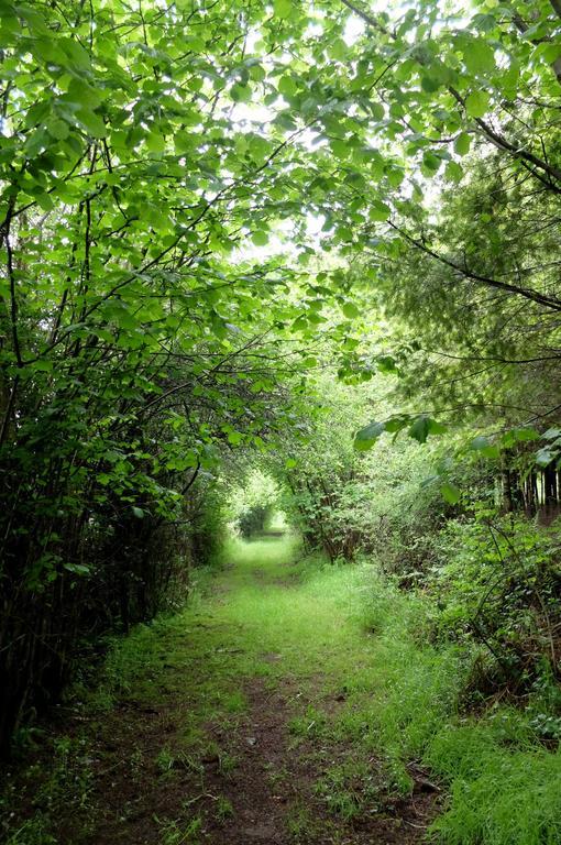 Maison D Hotes "Aux Legendes D Ardenne" Carlsbourg Buitenkant foto
